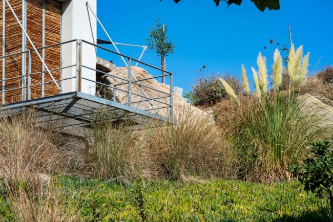 Ibaritakis Loukoum Garden Oct20 11 7539