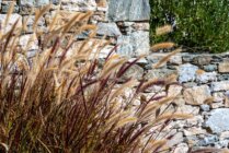 Ibaritakis Loukoum Garden Oct20 12 7558