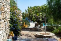 Ibaritakis Loukoum Garden Oct20 16 7607