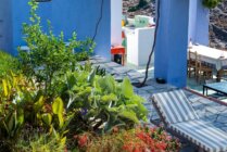 Ibaritakis Loukoum Garden Oct20 9 7559